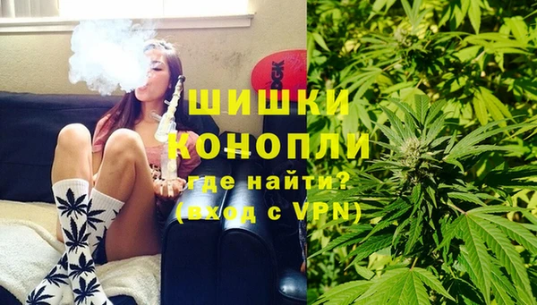 ПСИЛОЦИБИНОВЫЕ ГРИБЫ Вязьма