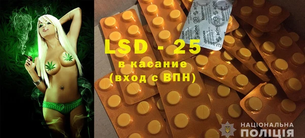 ПСИЛОЦИБИНОВЫЕ ГРИБЫ Вязьма